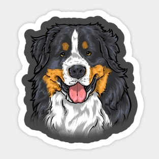 Bernese Mountain Sticker